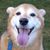 Mark Weymouth's profile image