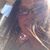 Jessica E. Snyder's profile image