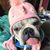 Kim Hostetler's profile image