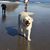 Jamin Brown Condou's profile image