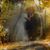 Crystal Renee Rice's profile image