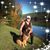 Kathryn Shuback Bufalo's profile image