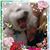 Vicki Williams Vierra's profile image
