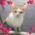 Basia Lindberg's profile image