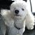 Debbie A Steele's profile image