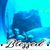 Christina Rettagliata's profile image
