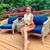 Thanh Truc Pham's profile image