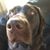 Anthony Rogers Harkey's profile image