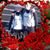 Marsha M Buls Widner's profile image