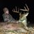 Lane Henry's profile image