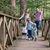 Allye Holcomb's profile image