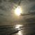 Susan Edwards's profile image