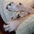 Lori Snyder's profile image