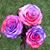 Kelly Kasimoff Garcia's profile image