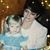 Kimberly Clausen's profile image