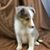 Wendy Theobald's profile image