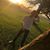 Alissa Steege Bieschke's profile image