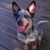 Richard Lasater's profile image