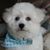 Sandy Hill's profile image