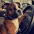 Muggs Kopp's profile image