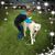 Sheila Otto Gramm's profile image