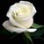 Dejuane Eric Rivers-White's profile image