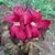 Evelynne Baca's profile image
