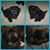 Pam Biddle's profile image