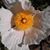 Connie Cotter's profile image