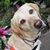 Jen Warsing's profile image
