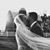 Renae Amshey's profile image