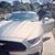 Tanmai Raveesh's profile image