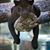 Luz Ramos's profile image
