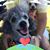 Doreen Wolven Saylor's profile image