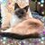 Mary Drescher Grohman's profile image