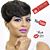 Fedarica Crutcher's profile image