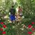 Rhonda Kim Smith's profile image