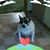 Rita Blackwell's profile image