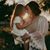 Emily Smith Lee's profile image