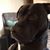 Kim Whalen Brouillard's profile image