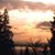 Linda Nichols's profile image