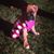 Lisa Hudkins's profile image