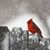 Kathy Olson's profile image