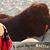 Sonia Wood Lappe's profile image