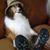 Fred Nietz's profile image