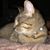 Nicolena Nikki R Quimby's profile image