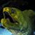 Sally-Eric Ohde's profile image