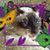 Vikki Amb Lesniak's profile image