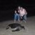 Penny Knippenberg-Pertle's profile image