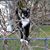 Breanna Tinsley Kelley's profile image